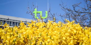 Das TU-Logo umgeben mit gelben Blüten von Blumen.