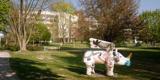 Eine grüne Anlage am Campus mit grünen Bäumen und eine Nashornfigur steht auf einer Wiese.