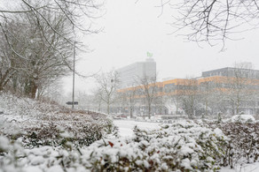 Kahle Bäume und Büsche, im Hintergrund Mathematikgebäude und Mensagebäude im Schnee.