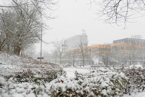 Kahle Bäume und Büsche, im Hintergrund Mathematikgebäude und Mensagebäude im Schnee.